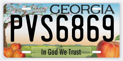 GA license plate PVS6869