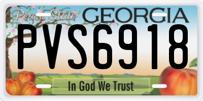 GA license plate PVS6918