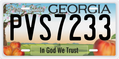 GA license plate PVS7233