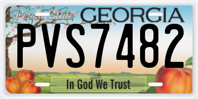 GA license plate PVS7482