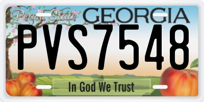 GA license plate PVS7548
