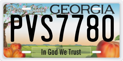 GA license plate PVS7780
