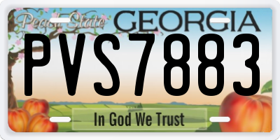 GA license plate PVS7883