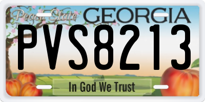 GA license plate PVS8213