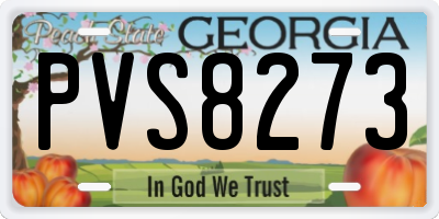 GA license plate PVS8273
