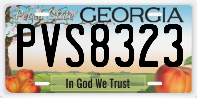 GA license plate PVS8323