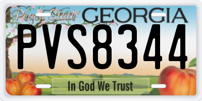 GA license plate PVS8344