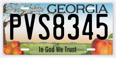 GA license plate PVS8345