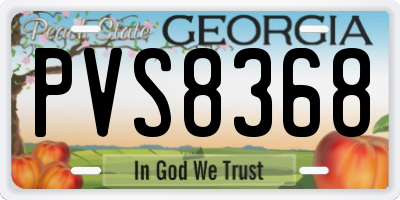GA license plate PVS8368