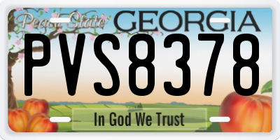 GA license plate PVS8378