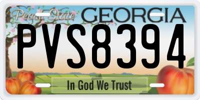 GA license plate PVS8394