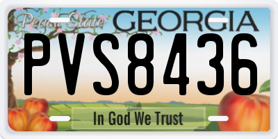 GA license plate PVS8436