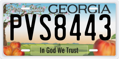 GA license plate PVS8443