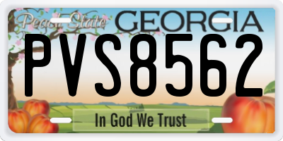 GA license plate PVS8562