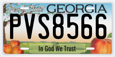 GA license plate PVS8566