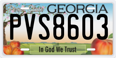 GA license plate PVS8603