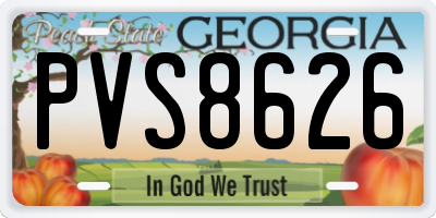 GA license plate PVS8626