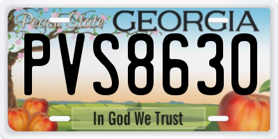 GA license plate PVS8630