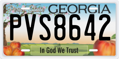 GA license plate PVS8642