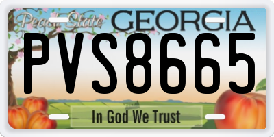 GA license plate PVS8665