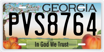 GA license plate PVS8764