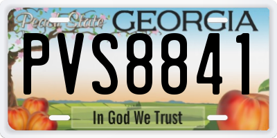 GA license plate PVS8841
