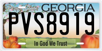 GA license plate PVS8919