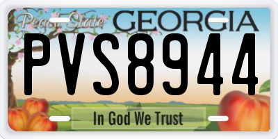 GA license plate PVS8944