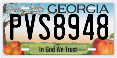GA license plate PVS8948