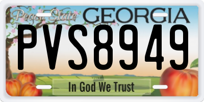 GA license plate PVS8949