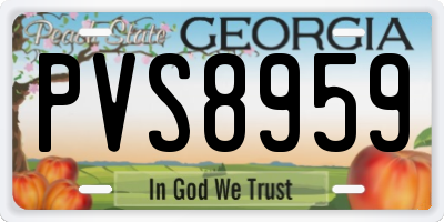 GA license plate PVS8959