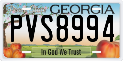 GA license plate PVS8994