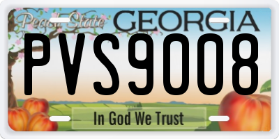 GA license plate PVS9008