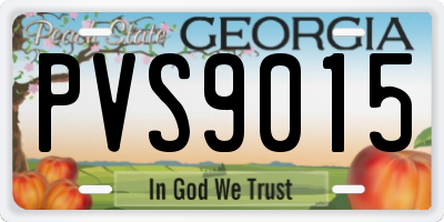 GA license plate PVS9015