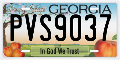 GA license plate PVS9037