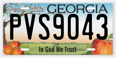 GA license plate PVS9043