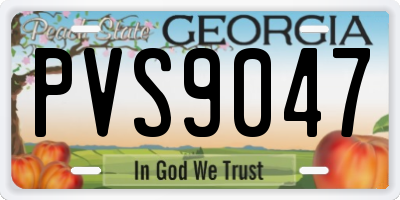 GA license plate PVS9047