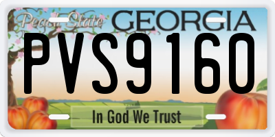 GA license plate PVS9160