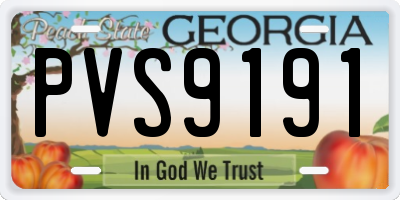 GA license plate PVS9191