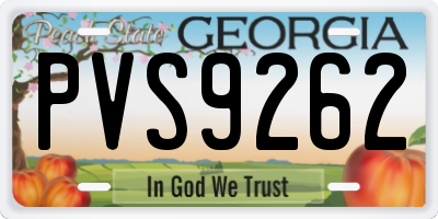 GA license plate PVS9262