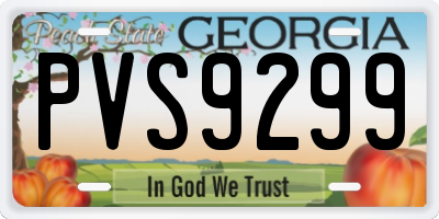 GA license plate PVS9299