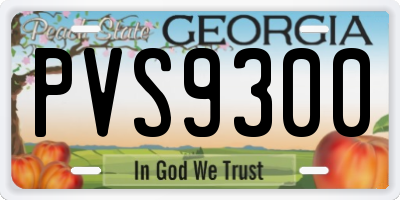GA license plate PVS9300