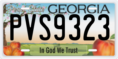 GA license plate PVS9323