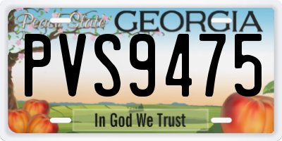GA license plate PVS9475