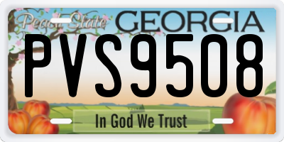 GA license plate PVS9508