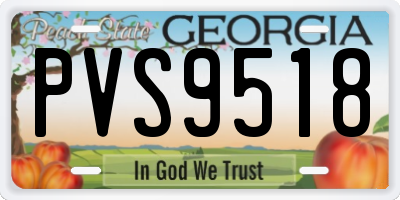 GA license plate PVS9518