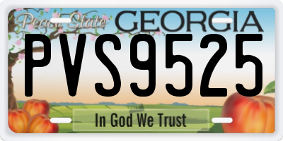 GA license plate PVS9525