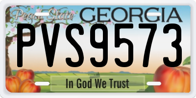 GA license plate PVS9573