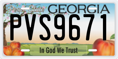 GA license plate PVS9671