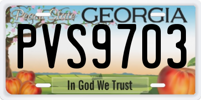 GA license plate PVS9703